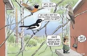 Attēlu rezultāti vaicājumam “Muscicapa striata nest”