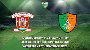 Image result for Guildford United Football Club