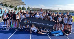 Image result for Cheltenham and County Harriers
