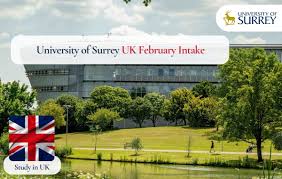 Image result for University Of Surrey