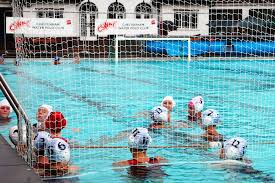 Image result for Cheltenham Swimming & Water Polo Club