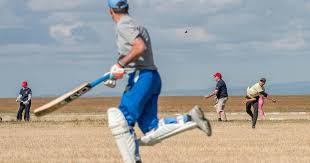 Image result for Bures and District Cricket Club