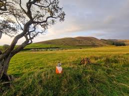 Image result for West Cumberland Orienteering Club