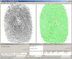 Download Identification Software: Human Intelligence ...