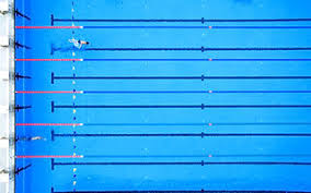 Image result for Sedgefield 75 Swimming Club