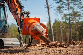 Image result for dipperfox tehron