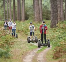 Image result for The Go Ape Experience (Delamere Forest)