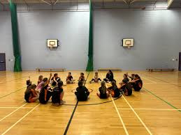 Image result for Hertford Hornets Netball Club