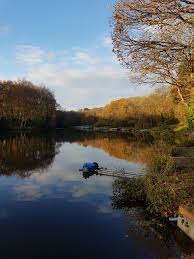 Image result for Woking & District Angling Association
