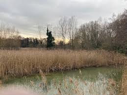 Image result for Ickleford Sports & Recreation Club