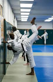 Image result for South Bank Taekwondo