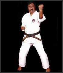 Image result for Independent Wadoryu Karate Federation