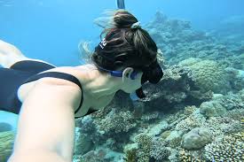 Image result for East Snorkellers