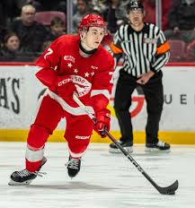 Image result for Carlisle Hockey Club