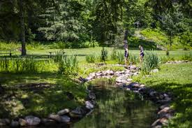 Image result for Parkstone Gun Club