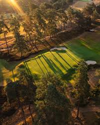 Image result for Hankley Common Golf Club