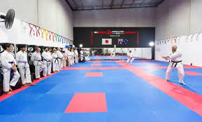 Image result for Ynys Mon Shukokai Karate Club, North Wales