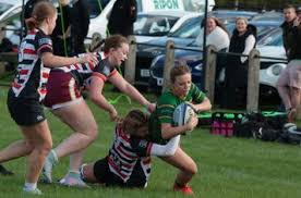 Image result for Novocastrians Rugby Football Club