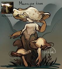 Image result for macrocybe titans