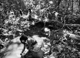 Image result for sebastiao salgado
