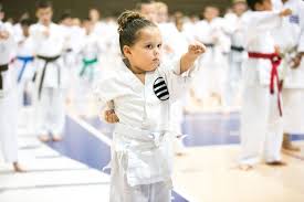 Image result for Thames Valley Shotokan Karate