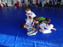 Image result for Derwent Jujitsu Academies