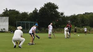 Image result for Goole Town Cricket Club