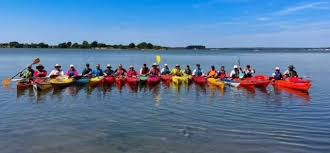 Image result for Poole Harbour Canoe Club