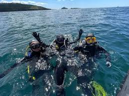 Image result for Plymouth Aquanauts