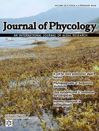 Attēlu rezultāti vaicājumam “Chaetophora pisiformis”