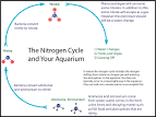 09/03/ 22 Water Chemistry with glaive .: Cichlids: A Knowledge Base