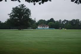 Image result for Cranleigh Cricket Club