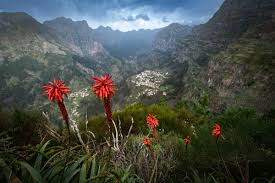 Image result for Eira do Serrado