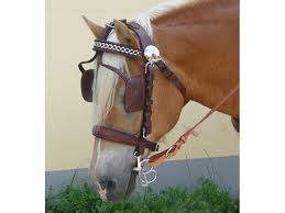 Image result for scheuklappen