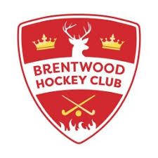 Image result for Havering Skater Hockey Club