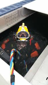 Image result for Dive Solutions, London