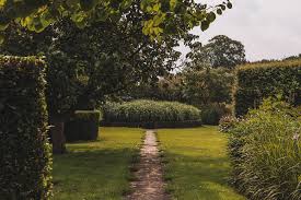 Image result for Piet Oudolf