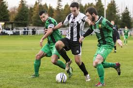 Image result for Sherborne Town Football Club