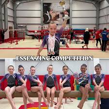 Image result for South Essex Gymnastics Club