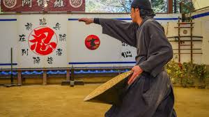 Image result for Manchester University Ninjutsu Society