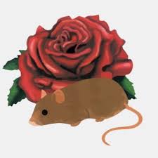 Image result for Glodwick Cricket Club