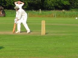 Image result for Redlynch and Hale Cricket Club
