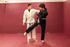 Image result for Wanstead JuJitsu Club