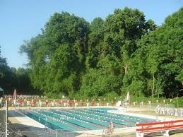 Image result for Calverton Swimming Club