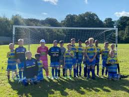 Image result for Vale Of Aylesbury Athletics Club