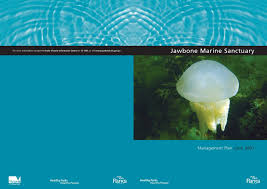 Image result for Bob Batley B`s Octopush Club