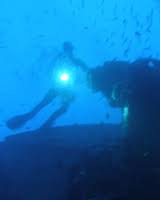 Image result for Mole Valley Sub Aqua Club