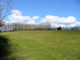 Image result for Cannock Cc