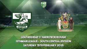Image result for Leatherhead Football Club