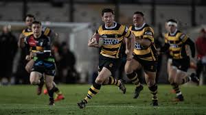 Image result for Swansea Rfc